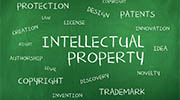 Colombia intellectual property rights investigator